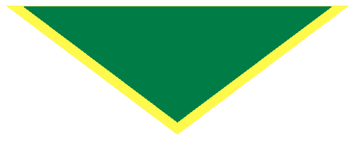 10th Ipswich Scout Group Scarf